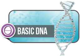 دی ان ای پایه