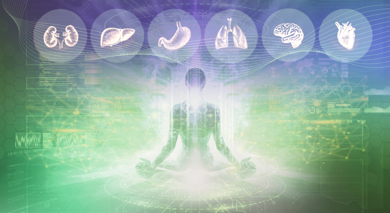 آناتومی شهودی